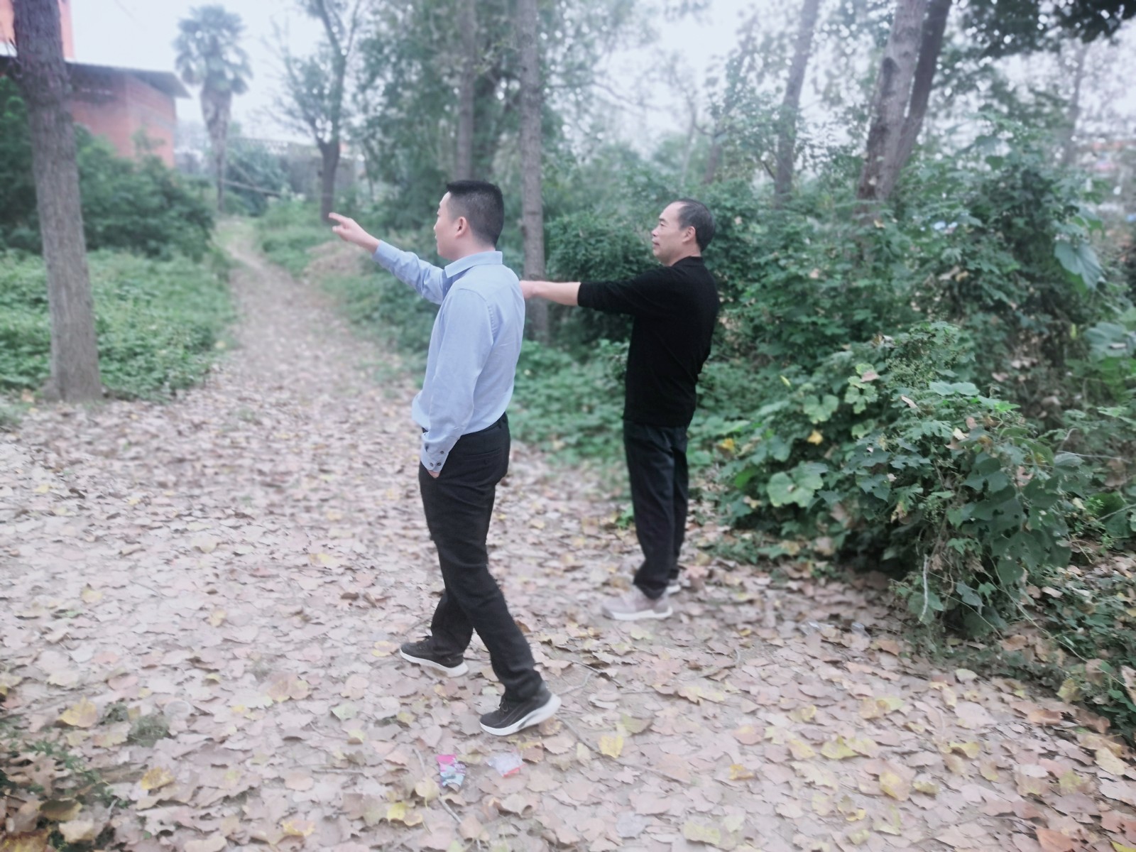 博希品牌咨询-朱集镇下湾村和美乡村规划设计